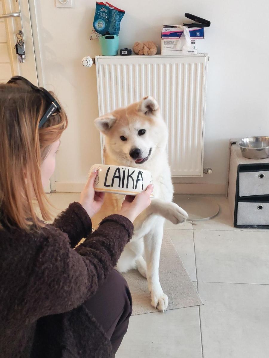Même pour les animaux !